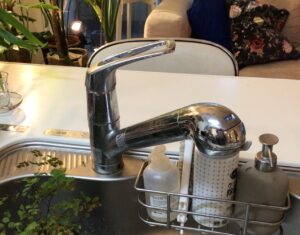 takagi（タカギ）の浄水器で原水、浄水の吐水量が少ない！原因と対処法