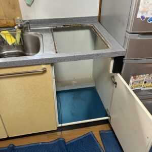 ナショナル松下電工（ナイス）カウンタートップ食洗機取替 前扉50ｃｍ撤去