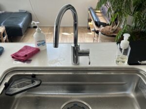ビルトイン浄水器の面白い選び方　グースネックのまんま、替えたい　KVKから　施工前