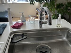 ビルトイン浄水器の面白い選び方　グースネックのまんま、替えたい　KVKから　施工後