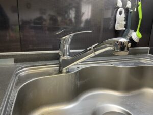 ビルトイン浄水器の面白い選び方　タカラキッチンで替えたい　施工前