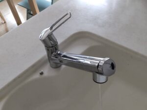 ビルトイン浄水器の面白い選び方　姉妹と同じ浄水器に替えたい　TOTOから　施工後