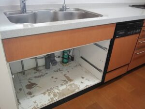 キッチンの扉を交換したい！　食洗機を取り替えるついでに　施工前
