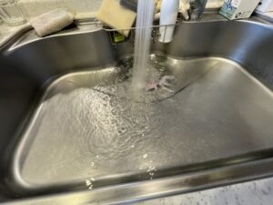 排水チェック漏水確認