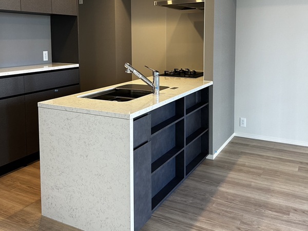 DELTA（デルタ）の水栓を使ってみる　キッチンメーカーラインナップ