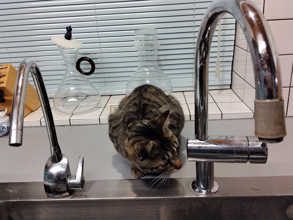 キッチン確認事項