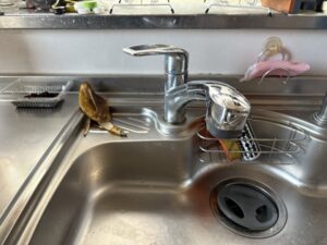 パナソニックのキッチン水栓おすすめポイント　ミカドのハンドシャワーが壊れた　施工前