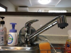 見た目を重視したい水栓なら「三栄水栓」　水ハネの少ないシャワータイプが欲しい　施工後