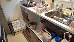 リンナイ食洗機　フロントオープン　RSW-F402C-B⑥