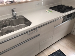 ファーストプラス製キッチンにビルトイン食洗機NP-45MD9Wの新規取付け工事　愛知県安城市　a-9893