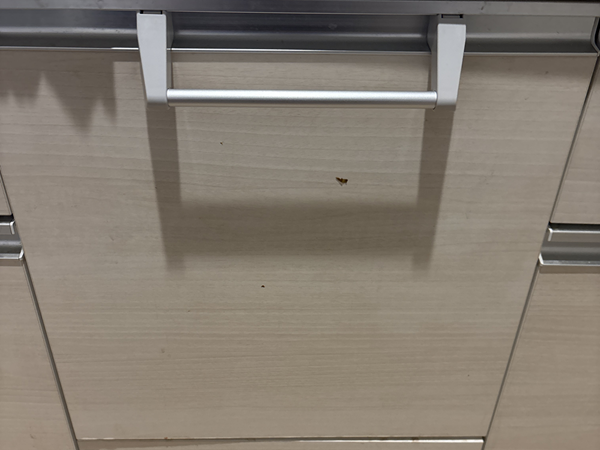 新潟市西区戸建てファーストプラスキッチンへNP-45MD9SP新規設置 食洗機パネルはキッチンと同じカラーにしてもらえる